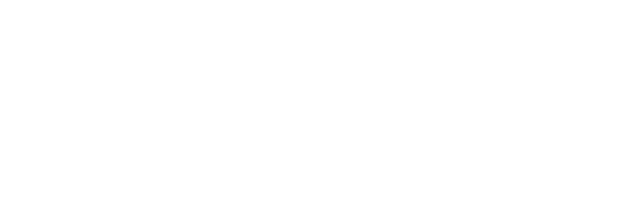 LINKIT-logo-blanc-900